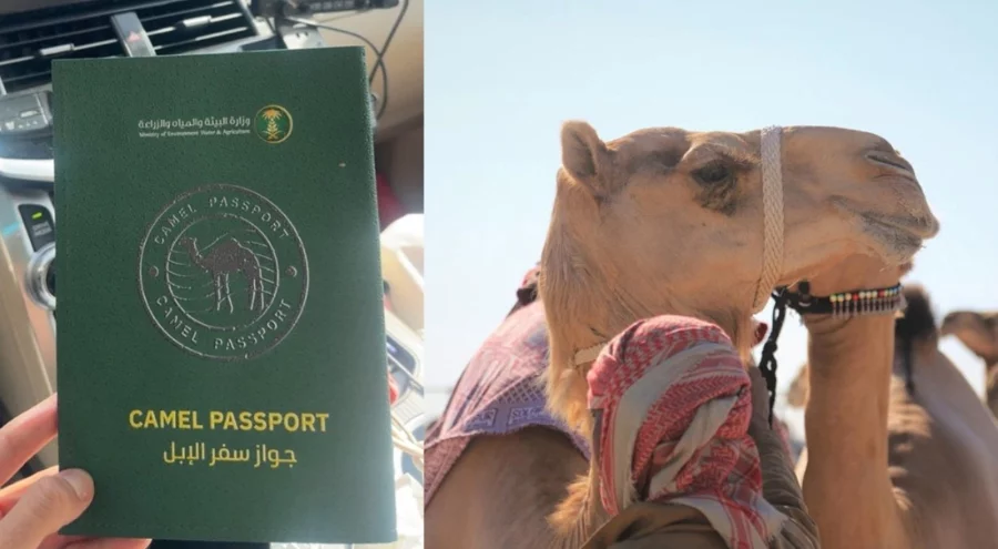 Suudi Arabistan develere pasaport verecek