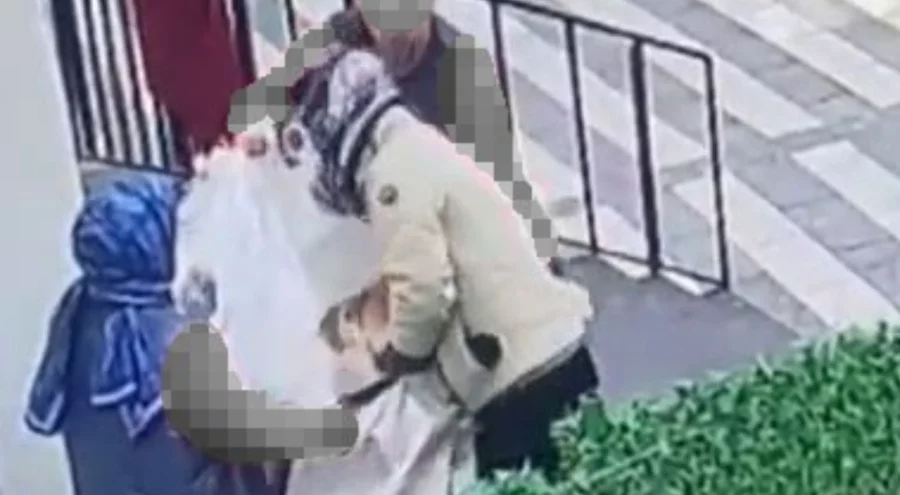 Hamile kedinin çuvala konularak uzaklaştırıldığı görüntülere tepki