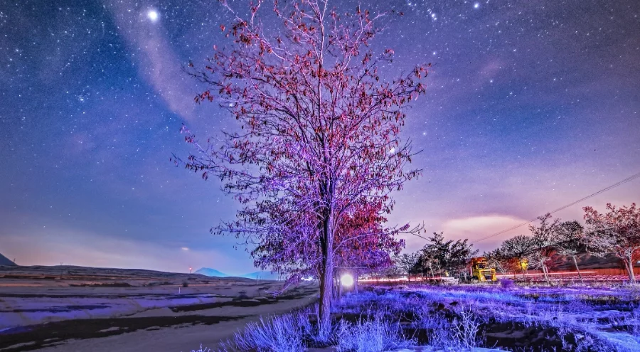 Bitlis'te kış geceleri büyülüyor