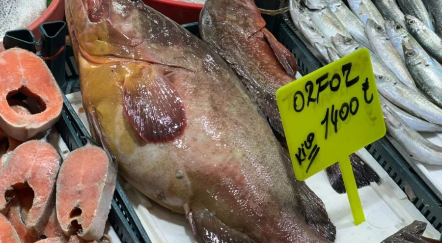 Bu balık çeyrek altınla yarışıyor: Değeri 10 bin 500 lira!