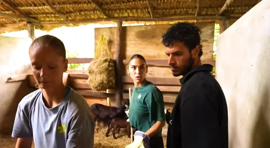 Survivor yeni bölüm izle