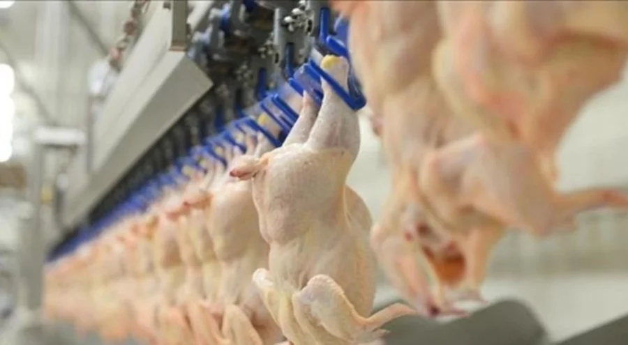 Ticaret Bakanlığı'ndan tavuk eti ihracatını durdurma kararı