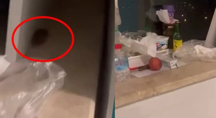 Eğitim ve Araştırma Hastanesi'ndeki fare skandalı Meclis gündeminde