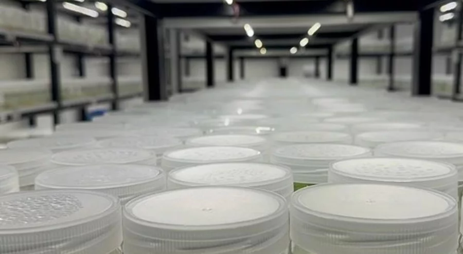 ABD'de yasa dışı biyolojik laboratuvar iddiası: İsrail vatandaşı gözaltına alındı