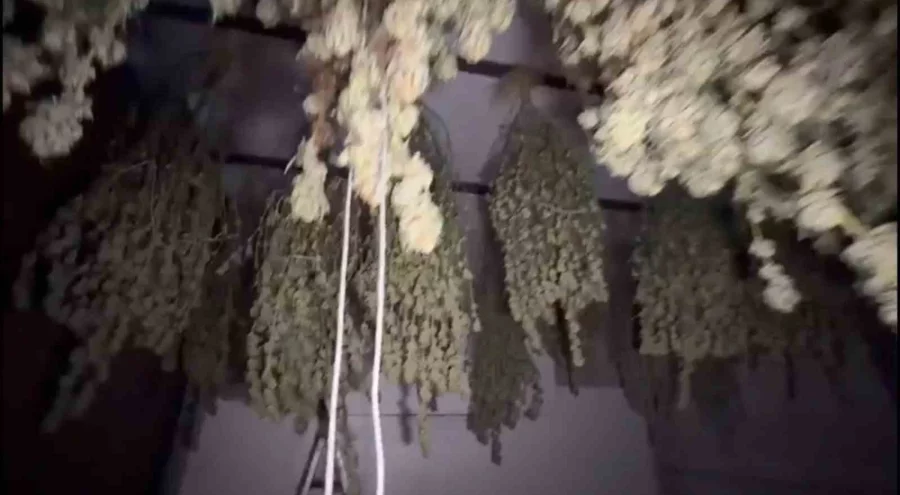 Kırklareli'nde 54 kilogram esrar ele geçirildi