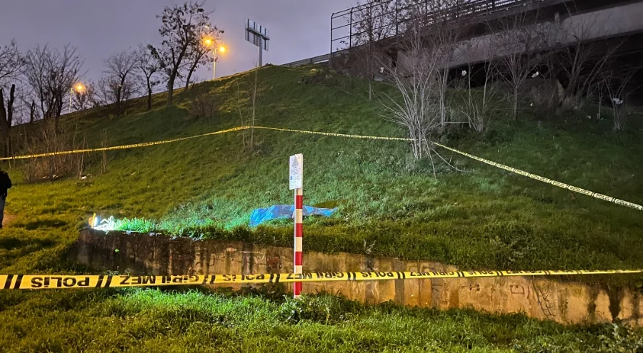 İstanbul'da otoyol kenarında erkek cesedi bulundu