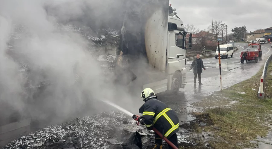 Hamsi yüklü tır alev alev yandı: Dorse kullanılamaz hale geldi