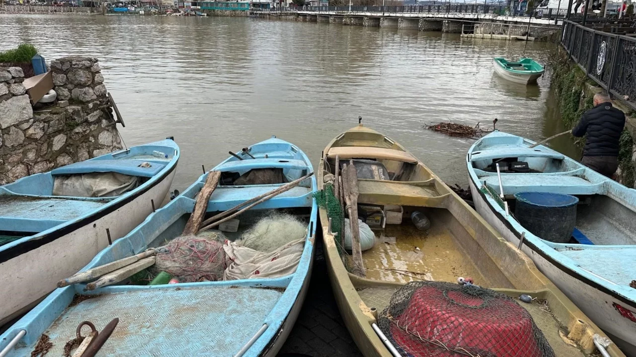 Kuruyacak deniyordu... Bursa Uluabat Gölü'nde 10 yıldır görülmeyen oldu: "Gölün Ömrü Arttı!"