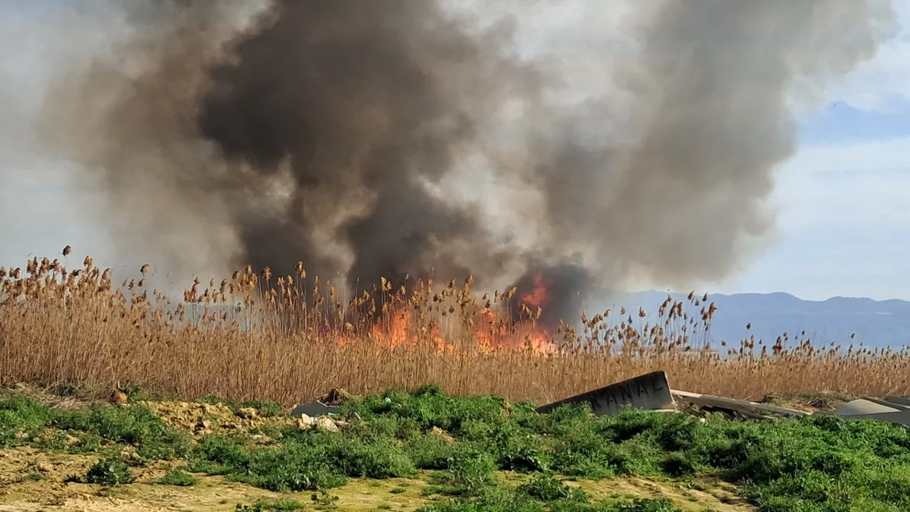Bursa'da sazlık yangını! Rüzgarın etkisiyle kısa sürede büyüdü