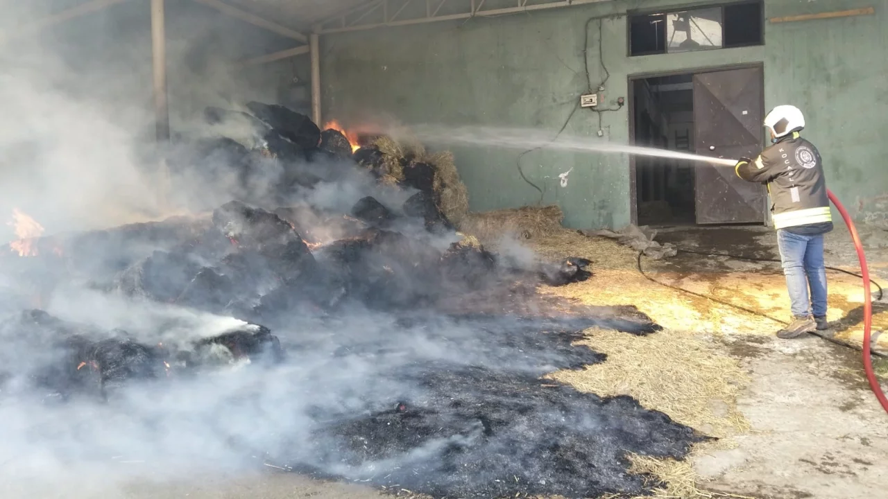 Kocaeli'de hara yangını: 70 balya saman yandı