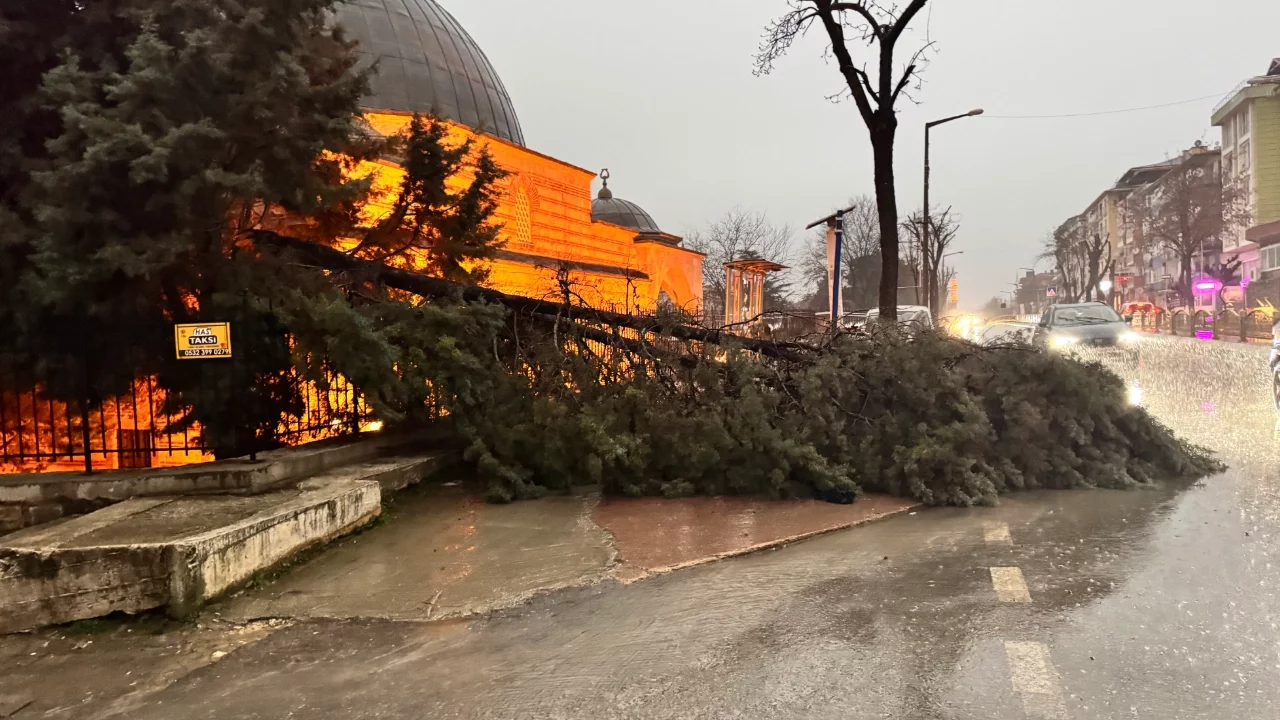 Edirne'de fırtına nedeniyle ağaçlar devrildi