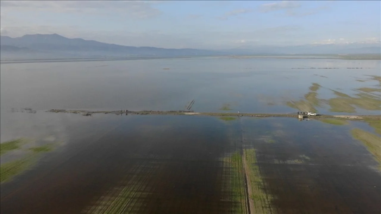 Kahramanmaraş'ta yağış sonrası binlerce dönüm tarım arazisi su altında kaldı