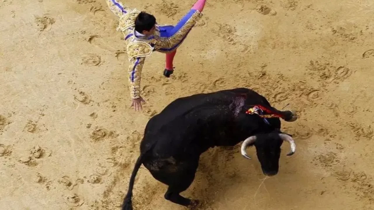 Geleneksel boğa güreşi kanlı bitti!