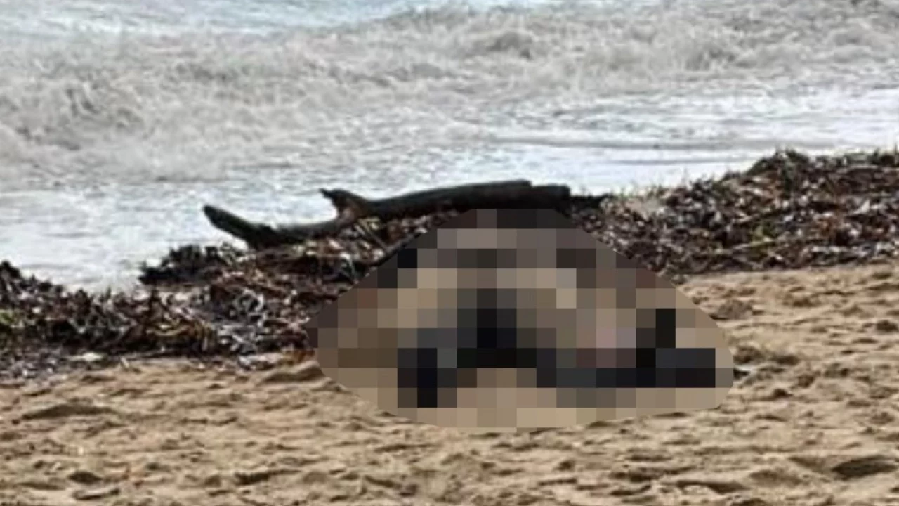 Sarımsaklı sahilinde kadın cesedi bulundu