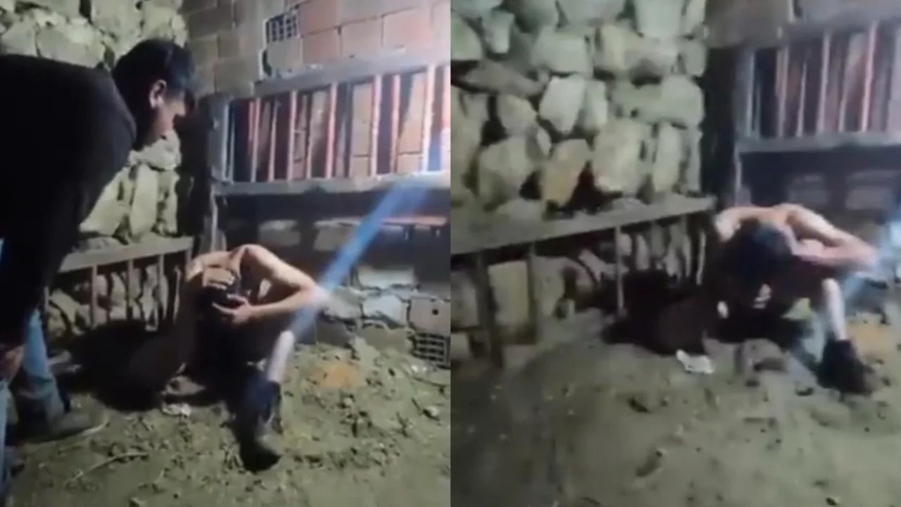 Çocuğa işkence: Alıkoydu, darbetti, köpeği saldırttı