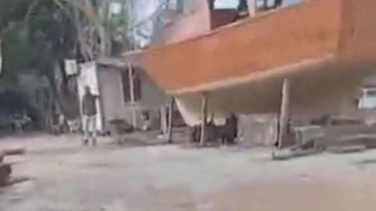 Köpeği av tüfeğiyle öldüren şahıs gözaltına alındı