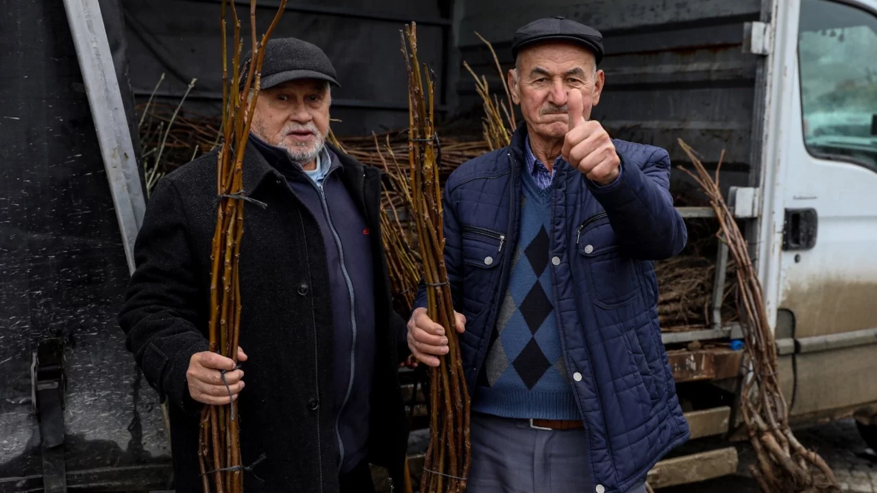 Bursa Büyükşehir'den Harmancık'ta üreticiye fidan ve tohum desteği