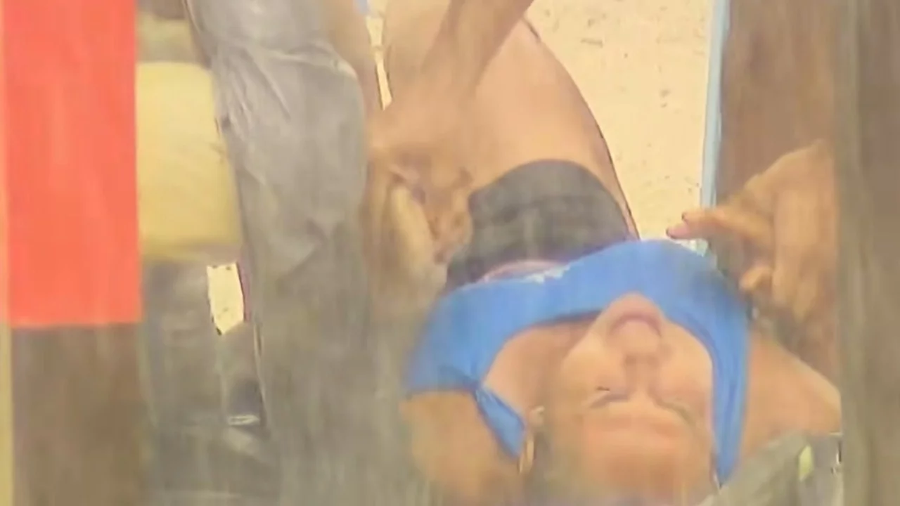 Survivor yeni bölüm izle