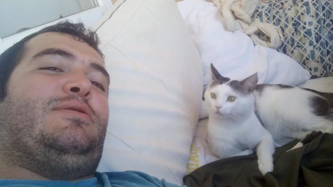 Bursa'da kaybolan kedisi için binlerce kilometre yol yaptı: Bulana 10 bin lira verecek