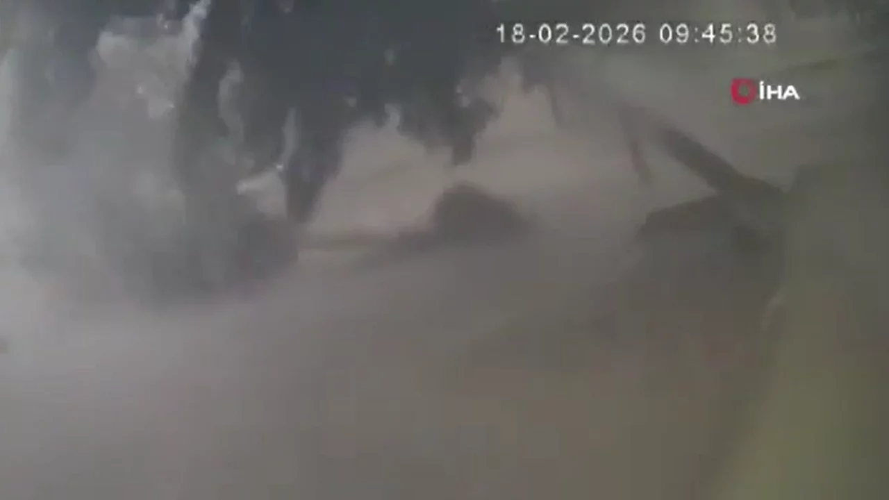 Adana'da fırtına dev ağaçları kökünden böyle söktü!