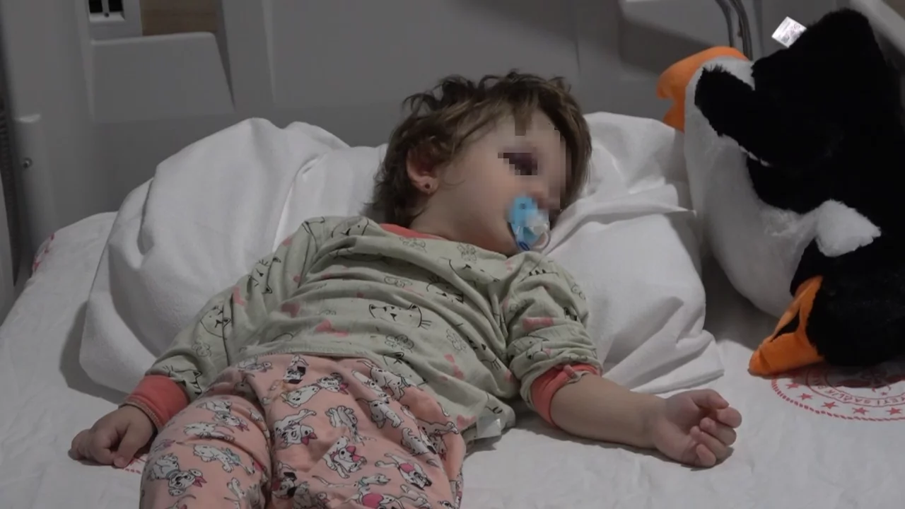 Yalova'da komşuların gürültü kavgasında 14 aylık bebek hastanelik oldu