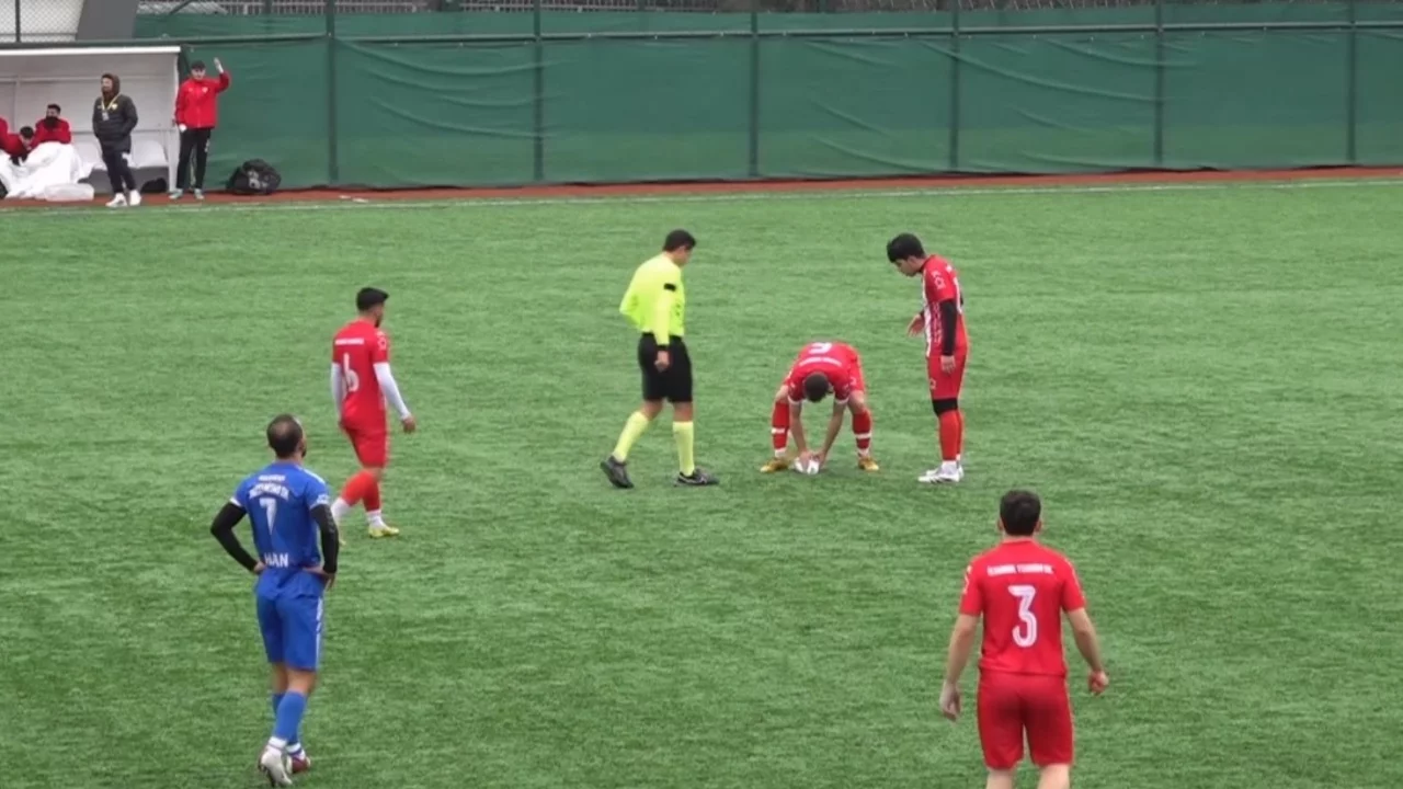 Maç sırasında top çarpan martı, kalp masajıyla hayata döndü