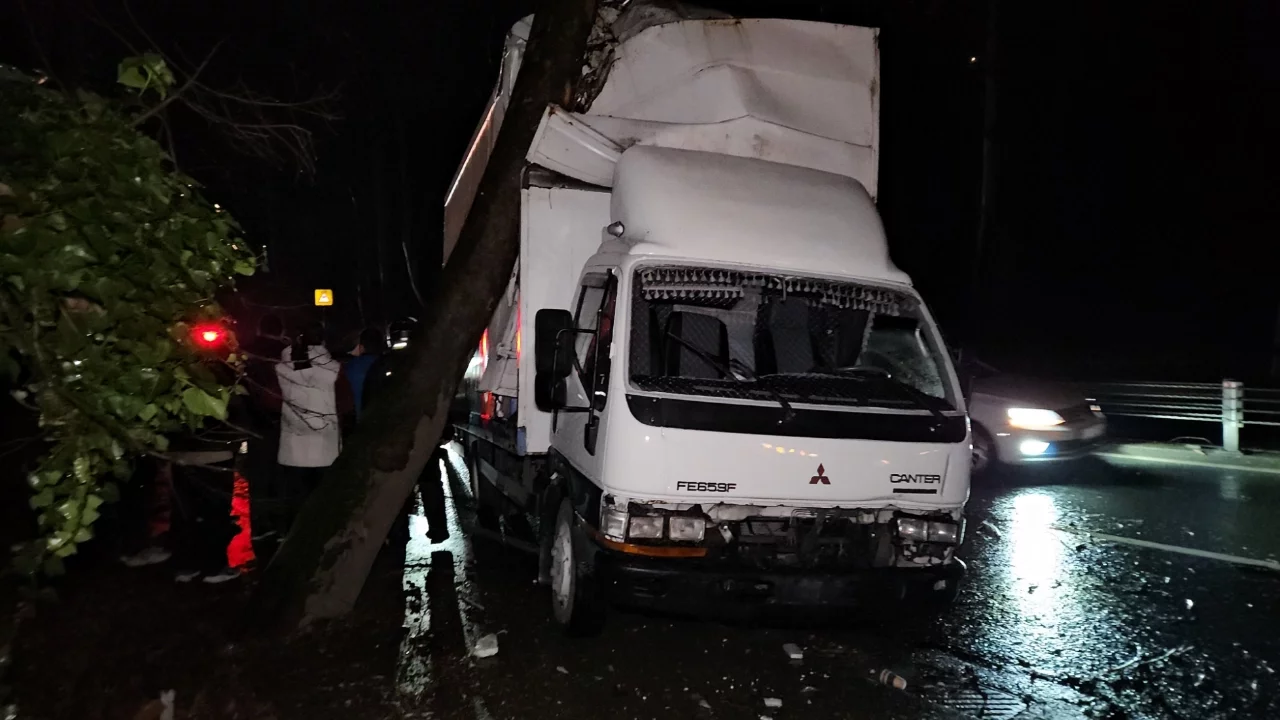 İstanbul'da seyir halindeki kamyonet yol kenarındaki ağaca çarptı