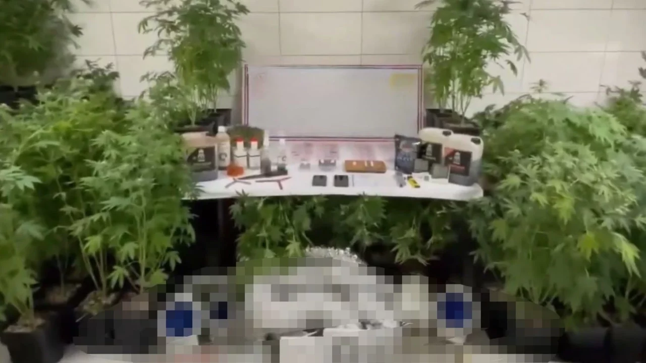 Bursa'da uyuşturucu operasyonu: Evde üretim düzeneği kurmuş