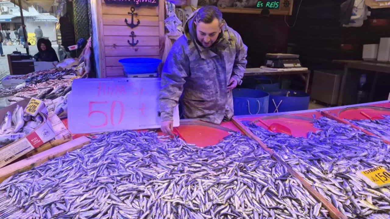 Hamsinin fiyatı 50 TL'ye düştü; uzun kuyruklar oluştu
