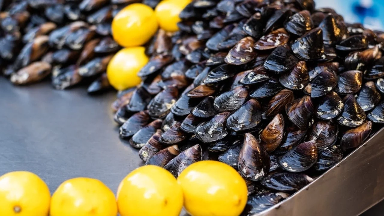 İzmir Körfezi'nde "midye" alarmı: Hepatit A ve norovirüs tespit edildi