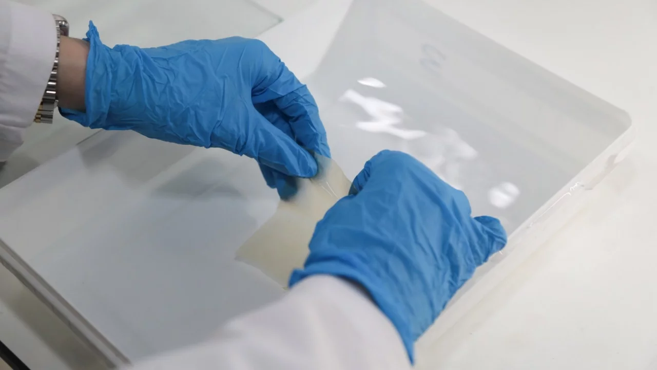 Bursa Teknik Üniversitesi'nden diş iyileşme sürecini güçlendirecek yerli malzeme