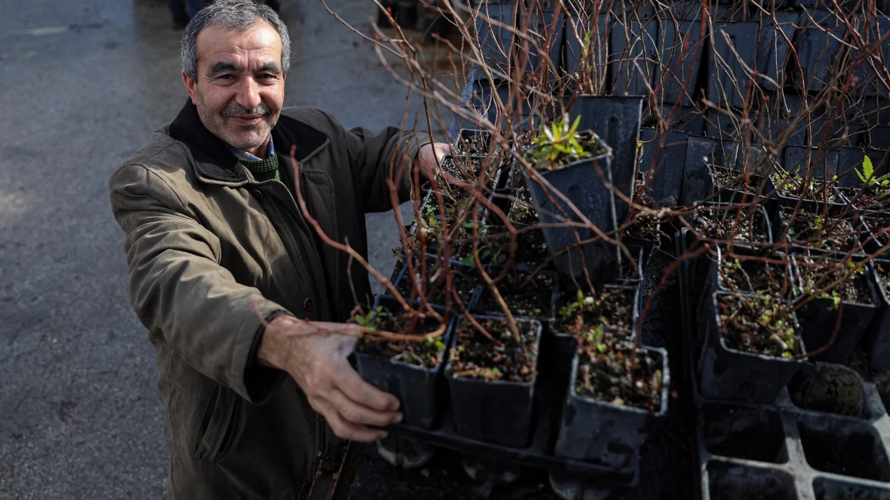Bursa Büyükşehir'den üreticiye fide ve fidan desteği sürüyor