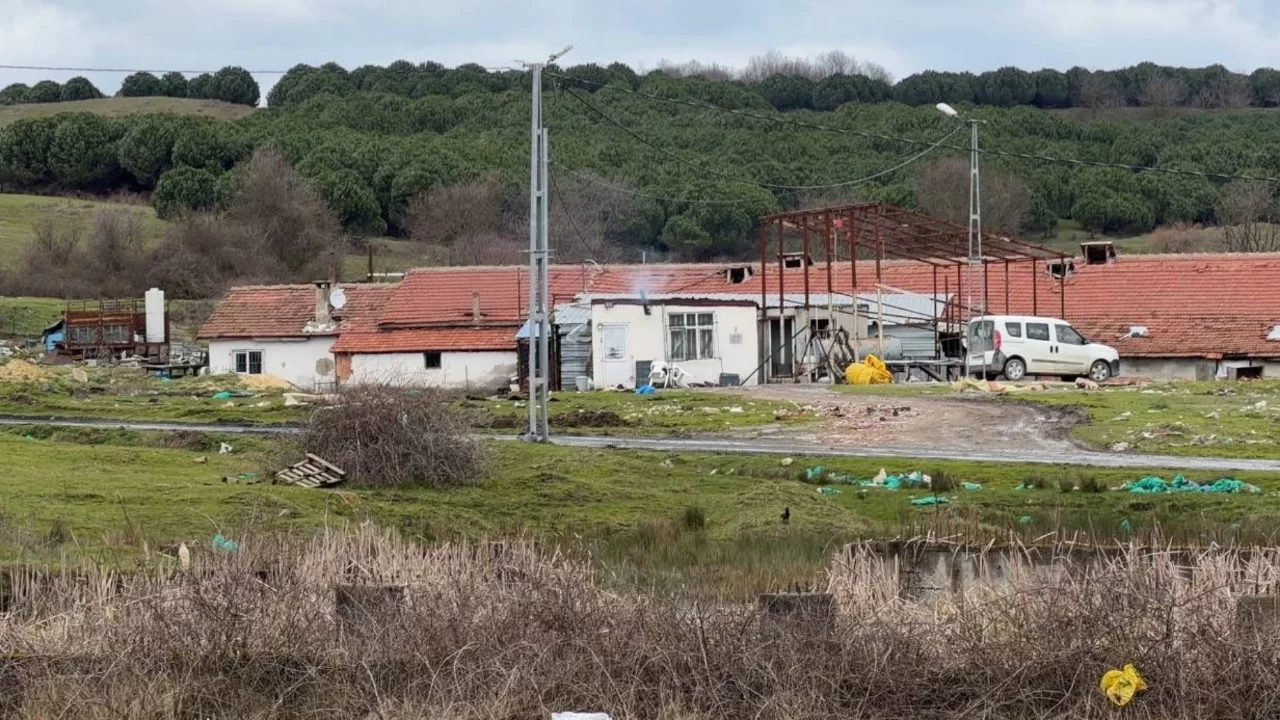 İstanbul'da çiftlik evinde dehşet! Tartıştığı kişinin boynunu elektrikli testere ile kesti