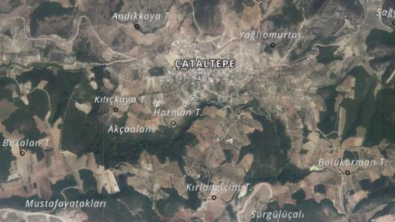 Bursa Çataltepe ve Söğütpınar için kritik karar! Orman sınırları dışına çıkarıldılar