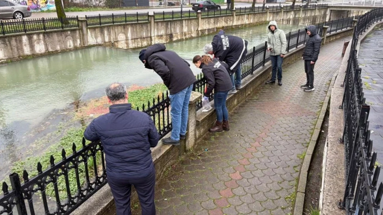 Uludere Çayı'nda binlerce ölü balık bulundu