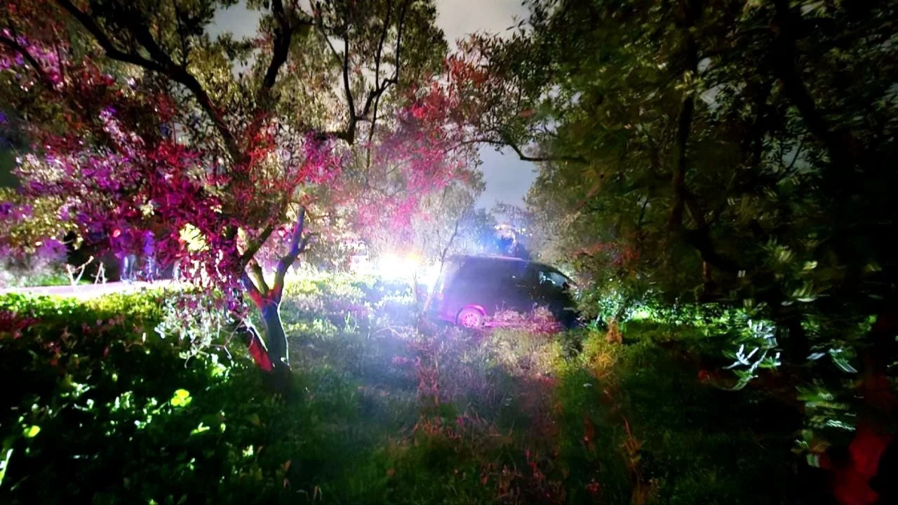 Bursa'da kazadan kaçan sürücü zeytinliğe daldı