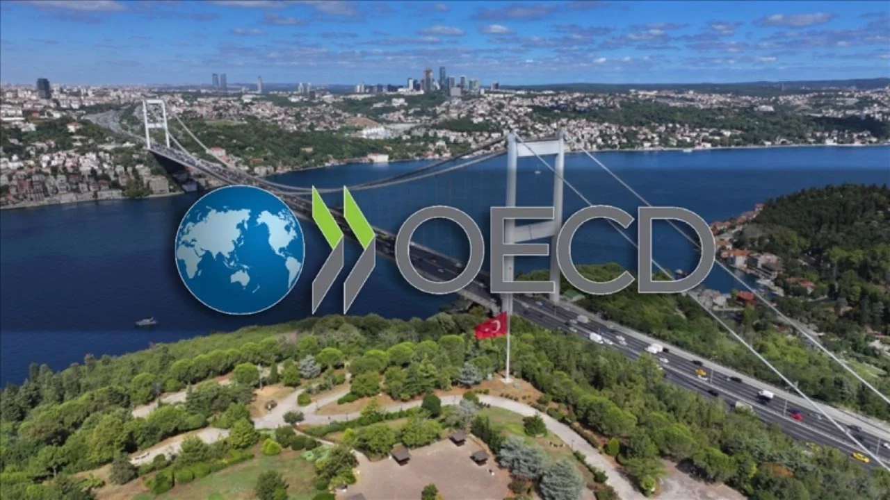 Türkiye, OECD'de en hızlı büyüyen ilk 3 ekonomi arasında