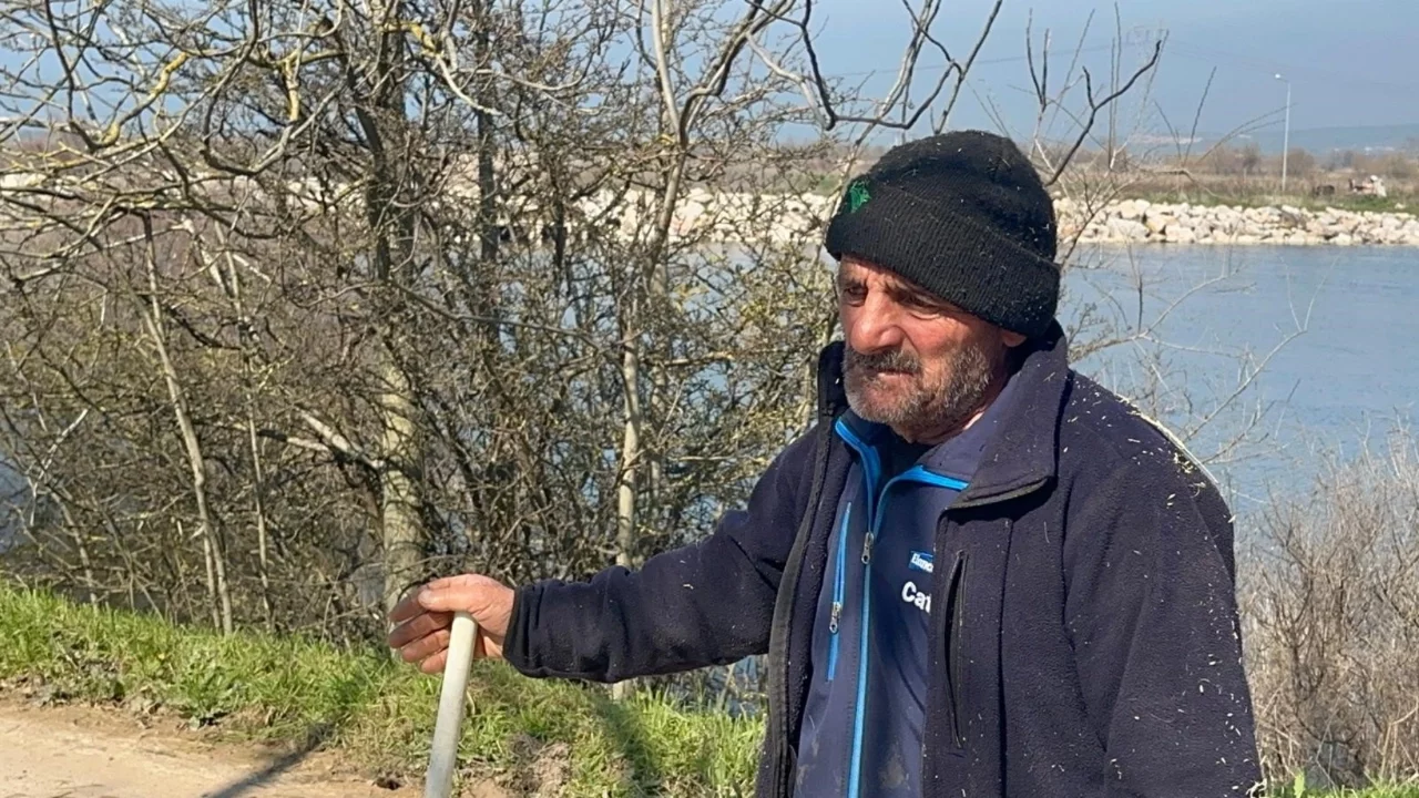 Süt inekçiliğinden dört çocuğunu büyüterek üniversitede okuttu