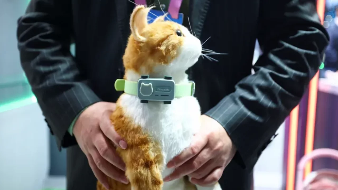 Evcil hayvanlar için akıllı telefon geliştirildi