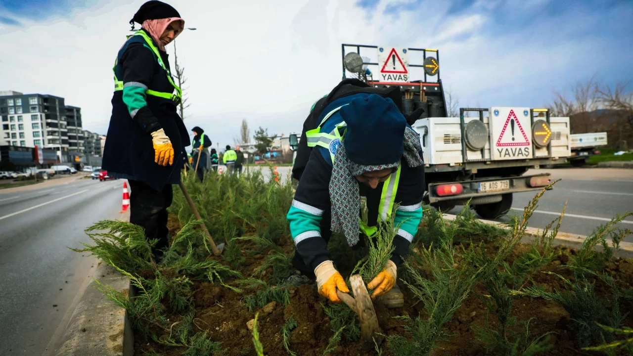 Bursa Büyükşehir Belediyesi'nden cadde ve bulvarlara estetik dokunuş