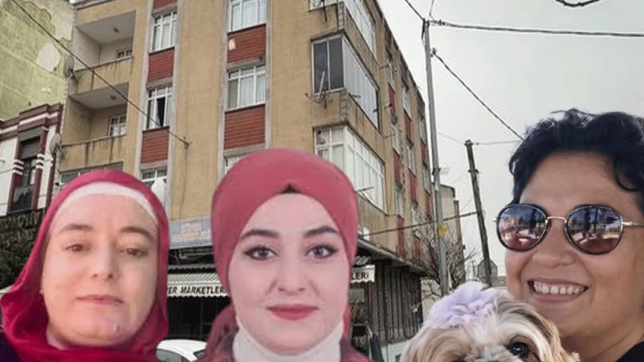 Kadın cinayetlerinde acı bilanço: Geçen sene 294 kadın katledildi