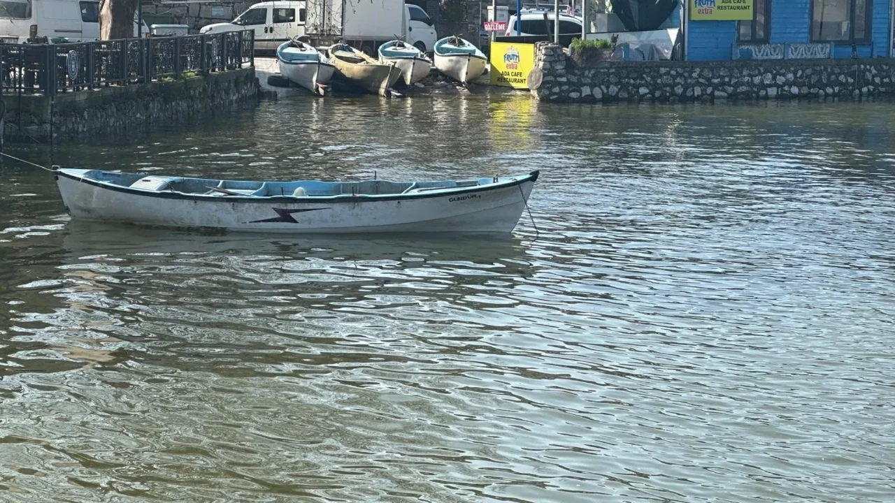 Bursa Uluabat Gölü'nde su seviyesi yükseldi: Bu yıl turna hem iri hem lezzetli olacak