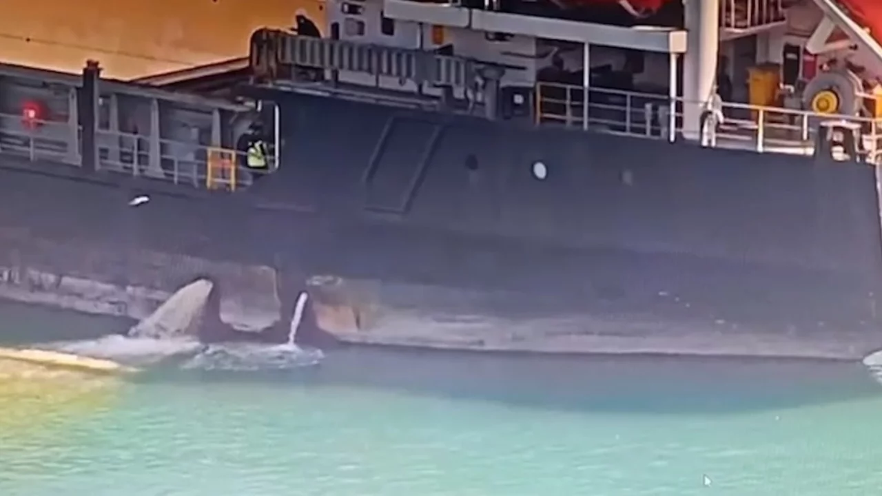 Mersin'de denizi kirleten gemiye 13 milyon TL ceza