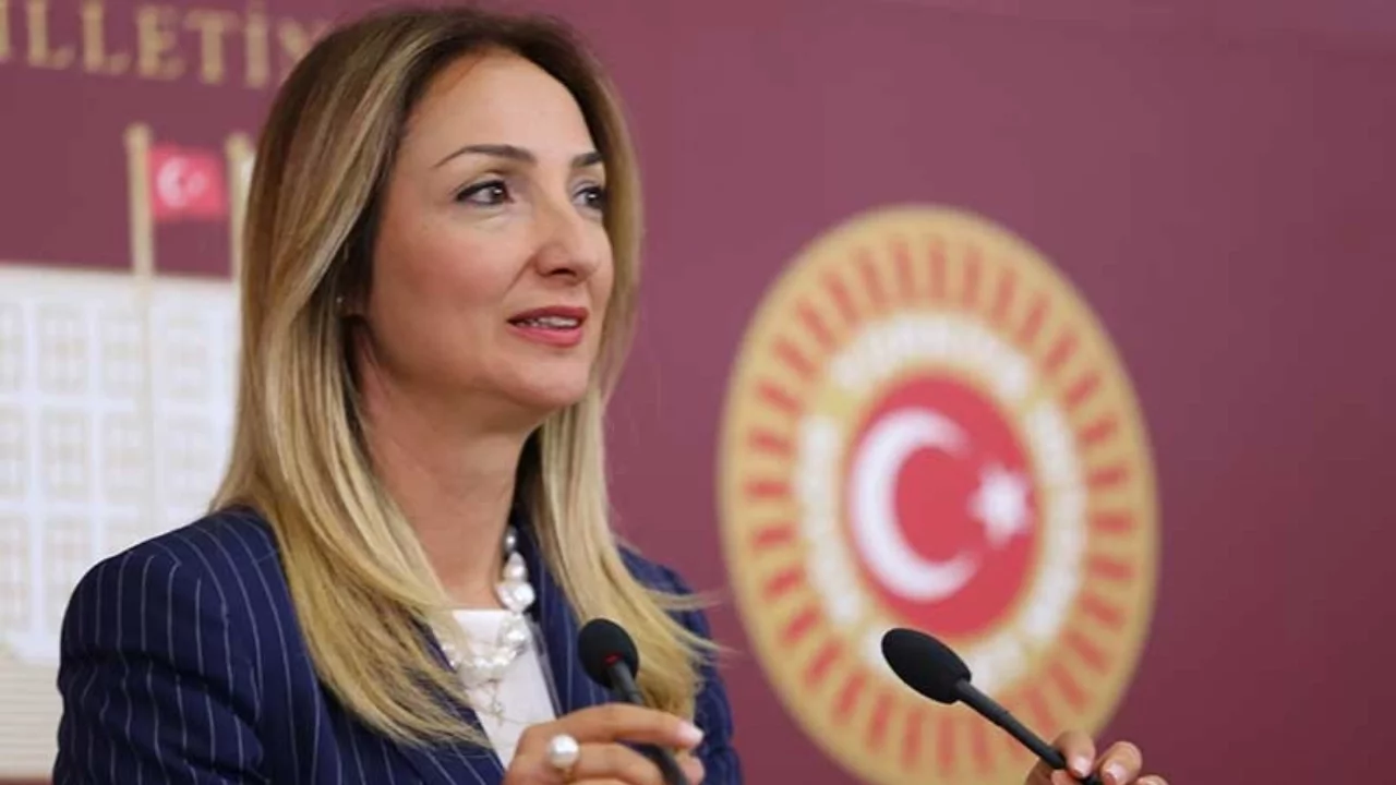 CHP'li Aylin Nazlıaka: 'Aile yılında 297 şüpheli ölüm, 294 de kadın cinayeti işlendi'
