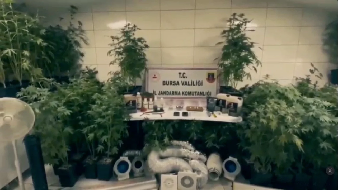 Bursa'da Jandarma'dan uyuşturucu tacirlerine darbe