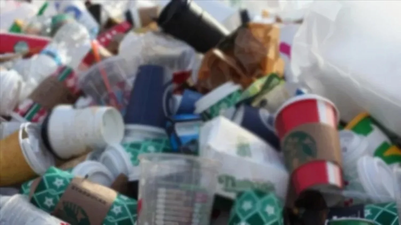 Tek kullanımlık ürünlerin kaldırılması için düğmeye basıldı