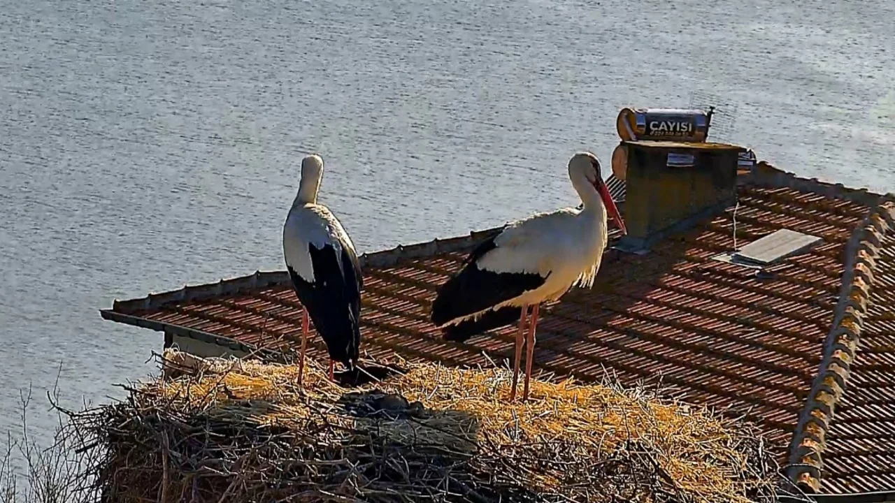 Bursa'da beklenen buluşma gerçekleşti: Yaren'in eşi Nazlı da geldi