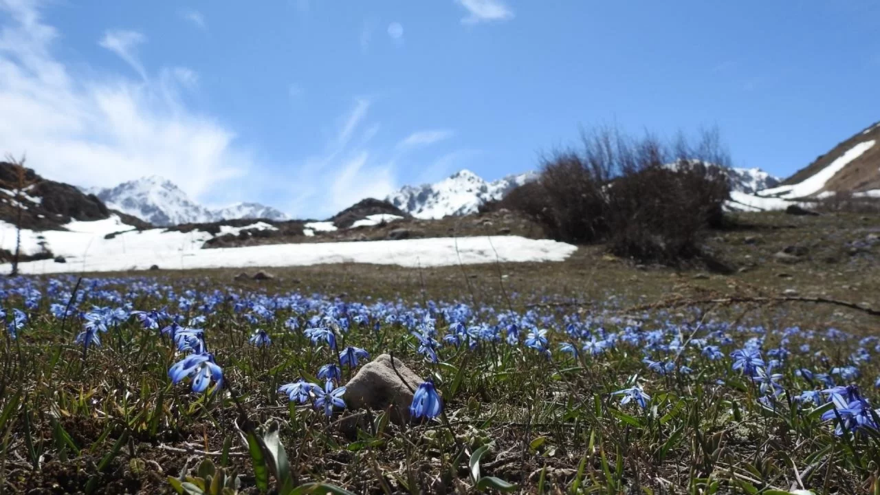 Türkiye'de, son 56 yılın en sıcak 3'üncü şubat ayı yaşandı