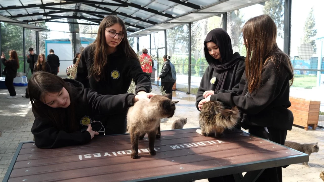 Bursa'da gençlerlerden  patili canlara ziyaret