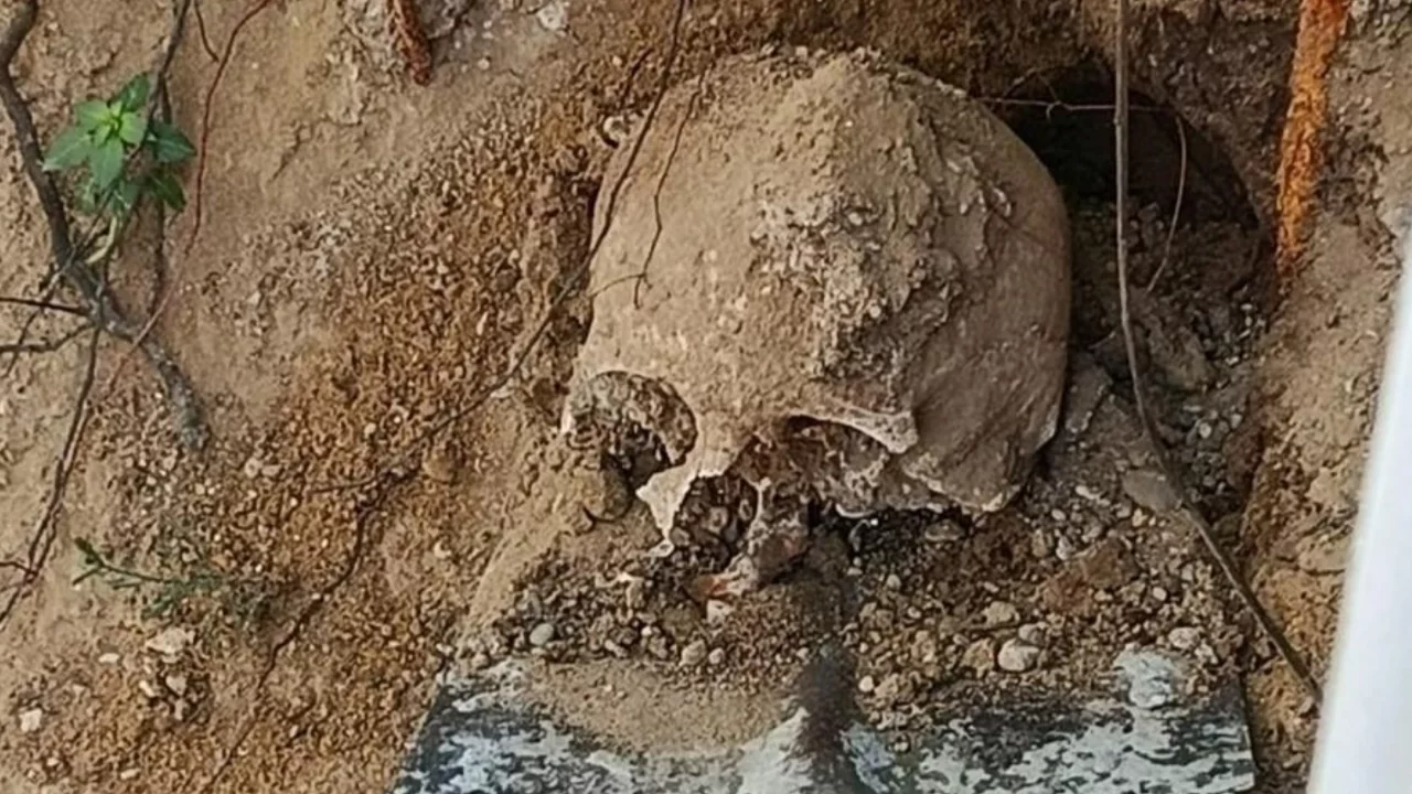 Kocaeli'de kazı sırasında insan kafatası ve kemikler bulundu